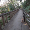 本門寺公園で見つけた紅葉の紅葉！