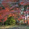 小篠原稲荷神社の秋