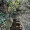洞川を歩く【南足柄】