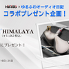 告知：🐈‍⬛ HiFiGo JP × ゆるふわオーディオ日記🐈 🎁NiceHCK HimalayaがAMAZON JPで在庫あり記念コラボ プレゼント企画🎉「NICEHCK HIMALAYA」を抽選で1名様にプレゼント