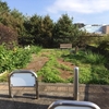 町田市立　小山上沼ことひら公園