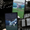 【Pokémon GO】『キュレム』100％を狙え！『Pokémon GO Tour：イッシュ地方(グローバル)』！！