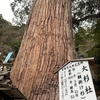 鞍馬山のパワースポット〜番外編〜