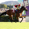 日曜競馬　展望