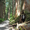 初夏の長野旅行：憧れの杉並木を歩き戸隠神社奥社へ