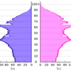 日本の人口ピラミッド