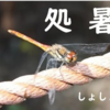二十四節気「処暑 (しょしょ)」 8/22～9/6　2026/08/23
