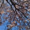 4月通院終