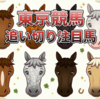 【追い切り注目馬】【ジューンS】【夏至S】他　2026/6/13(土) 東京競馬　好調は分かる