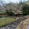 朝倉市探検家をした。農業をやる意味、必要とされているから？、自分がやりたいから？