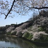 千鳥ヶ淵から上野公園  お花見のはしご