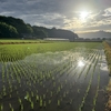 熊本小話　夏色