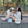 Koki, ショーパンで読書する姿 with 愛犬