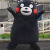 夜だるまエンタメ
