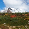 １０年に一度の紅葉を見に大雪山に行ってきた。