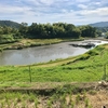 由谷池（兵庫県淡路）