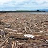 海洋プラスチック②　胎盤のマイクロプラスチック