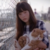 ショートフィルム「猫、かえるCat's Home」