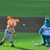 今年は巨人に勝たなどうしようもない