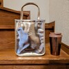 スタバ「ホリデーグッズ第二弾」タンブラーとショッパー購入！【限定品レビュー】