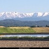 ５月１３日（土）三ノ倉高原菜の花畑、山形長井の白ツツジ、高郷の花畑