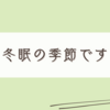 冬になると寝るのがとても楽しくなりますねぇ