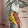 腹筋にはどんな筋肉がある？？鍛えるメリットは？？腹筋の筋肉を知って筋トレを効率化しよう！