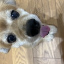 中1小2 松江塾ママブロガー　意思のあるところに道は開ける！？
