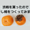 完成！手作り干し柿を食べてみます！【初めての干し柿づくりの記録７】無味のえぐみ包み。ほんのりとした甘みを添えて。って、なんじゃそりゃ。