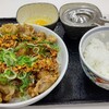 252【スタミナ丼】吉野家を毎日喰らいます