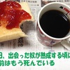 人間も革製品も経年変化を愉しもう