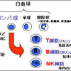 じじぃの「白血球と免疫力・がんをやっつけてくれるリンパ球？非常識の医学書」