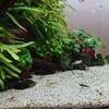 ちょっと更新