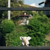 Kamakura Snaps ( early summer )