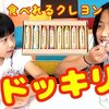 6月28日の動画