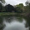 森林公園