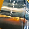 「はたらく細胞」読んでいたら頭の中がマトリョーシカに。