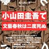 電子書籍第3弾『毒ガス攻撃とバックドロップ━━小山田圭吾で文藝春秋は二度死ぬ』を出版しました。