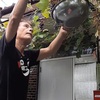 台風接近、ブドウ収穫