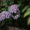 7月1日