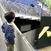 プロ野球観戦