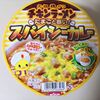 カップ麺【チキンラーメン どんぶり スパイシーカレー】を買いました～　実食レポート