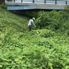 梅田川堤防沿い草刈り作業