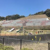 【福岡県太宰府市】竈門神社行ってきた。