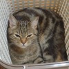 退かない・・