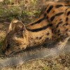 冬の多摩動物公園