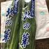 北の華にら