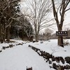 雪の日光へ。雪が積もり静かな憾満ヶ淵を歩いてみました