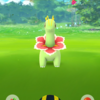 【ポケモンGO】本日のレポです！あの子に出会えました(*´∀｀*)【アメリカ】