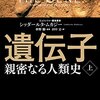 大脳新皮質を肥大化させる遺伝子を特定！